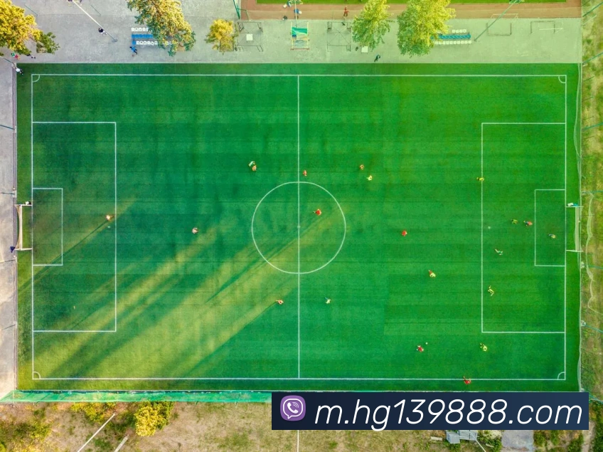 奖项图2